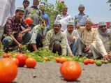 Farmers’ stir: Supply of vegetables stays between normal and low