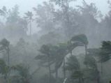 Kerala rain fury: Death toll now at 45