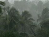 13 killed in Kerala due to heavy rains