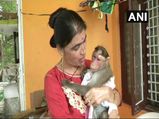 This Karnataka lady cop, who has rescued, nursed an injured monkey, is a true ‘saviour and mother’