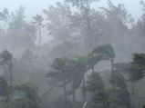 Kerala rains: Death toll rises to 37, state on high alert 