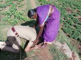 New cop bends before mom to acknowledge her sacrifices; photo touches a million hearts