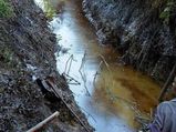 BWSSB tanker releases sewage directly into a stormwater drain 