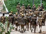 STF nabs two dacoits