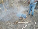What caused fire in Bandipur forest?
