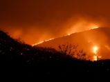 Karnataka: Major fire continues to rage at Bandipur Tiger Reserve and National Park 