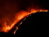 Karnataka: Forest fires have gutted over 36,000 acres in 5 years