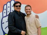 Shatrughan Sinha applauds Rahul's move to contest second seat from Wayanad