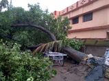 Mamata assesses damage caused by Cyclone Fani
