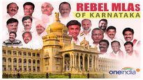 Can Karnataka rebels be disqualified: What is the Anti-Defection Law and how does it work?