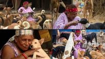 Scavenger to dog lady: Meet Pratima Devi, who feeds 400 dogs a day
