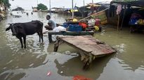 No fresh spell of rains; flood-like situation continues in Punjab, Haryana
