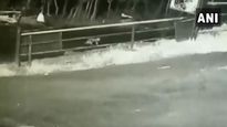 1 yr old falls out of car in Kerala, video goes viral