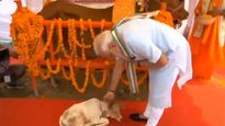 In photos: PM Modi plays with calf, adores cow and sits with trash collectors