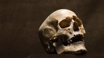 Skulls found in ICDS Centre in WB while digging for laying foundation stone