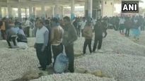 MP man stripped, thrashed on suspicion of stealing garlic