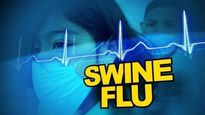 Kerala: African swine fever reported in Wayanad