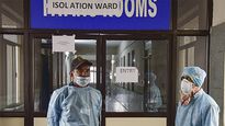 MP's COVID-19 death rate double than that of national average