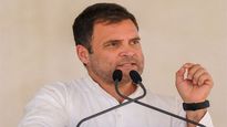  After Punjab, Rahul Gandhi to hold tractor rallies in Haryana