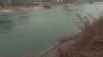 Madhya Pradesh: 37 dead as bus falls into canal; rescue operations underway