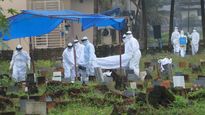 Nipah virus death: 11 contacts at risk; Centre recommends strengthening hospital, community-based surveillance
