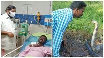 Popular snake-catcher Vava Suresh leaves hospital after being treated with 65 bottles of anti-venom