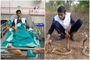 How not to mess with cobras: A Karnataka man gets bitten by snake as stunt goes wrong [Viral Video]