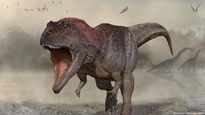 Experts find 92 nests, 256 fossil eggs of world’s largest dinosaurs in MP