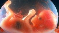 Bhopal: Two foetuses found dumped say cops