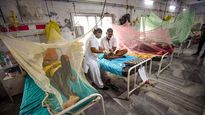 UP govt cancels leaves of doctors amid rising dengue cases