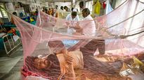 In UP, dengue cases rise while kerosene in short-supply 