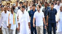 Kannada group warns Rahul Gandhi not to use his pic on 'Karnataka flag'