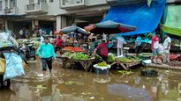 Veggie prices soar as rains disrupt lives in Haryana, Punjab