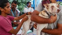 How political will turned Goa into India's first rabies-controlled State