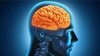 15-Year-Old Killed By Rare 'Brain Eating Amoeba' in Kerala: What is the Survival Rate?