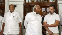 How Opposition Parties React To NCP Split?