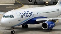 IndiGo Pilot Dies After Collapsing At Nagpur Airport
