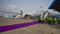 Stray Dog On Goa Airport Runway Forces Vistara Flight To Return To Bengaluru