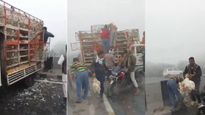 Watch Viral Video: Locals Loot Chickens On UP Highway