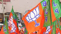Pre-Poll Survey: How Many Seats Will BJP Win in Punjab in LS Polls? Check Out Findings Of This Opinion Poll