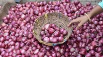 India Ends Onion Export Ban With New Terms Ahead of Maharashtra Polls