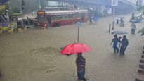 Maharashtra Weather Alert: Thunderstorms Aand Intense Rainfall Set To Impact 16 Cities; Yellow Alert Issued