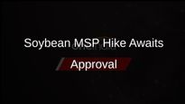 Madhya Pradesh Cabinet Approves Soybean MSP Increase, Awaits Centre's Nod