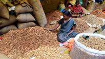 Kadalekai Parishe 2024: Bengaluru’s Iconic Groundnut Fair on November 25-26