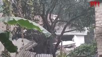WATCH Tragic Blast In Murshidabad: 3 Killed In Country-Made Bomb Explosion