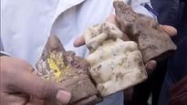 Three Ancient Idols Discovered During Excavation At Temple In Sambhal