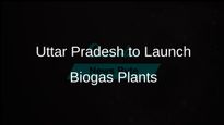 Uttar Pradesh Chief Minister Yogi Adityanath Announces Biogas Plants Using Cow Dung with Government Support
