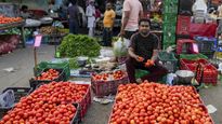 Vegetable Price In Maharashtra: Cauliflower To Garlic Sees Major Hike; Check The Latest Prices Inside