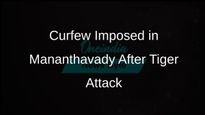 Kerala Government Imposes Curfew in Mananthavady Following Fatal Tiger Attack on Woman