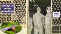 Nipah Virus Returns: 38-Year-Old Woman Tests Positive in Kerala’s Palakkad